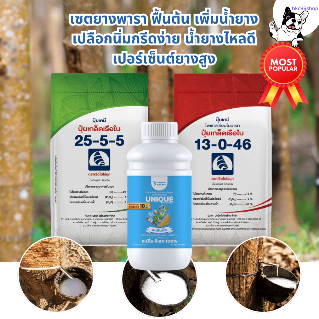 เซตเร่งน้ำยาง บำรุงหน้ายาง ช่วยฟื้นต้น สร้างเปลือกใหม่ได้เร็ว เปลือกนิ่ม กรีดง่าย เพิ่มปริมาณน้ำยาง