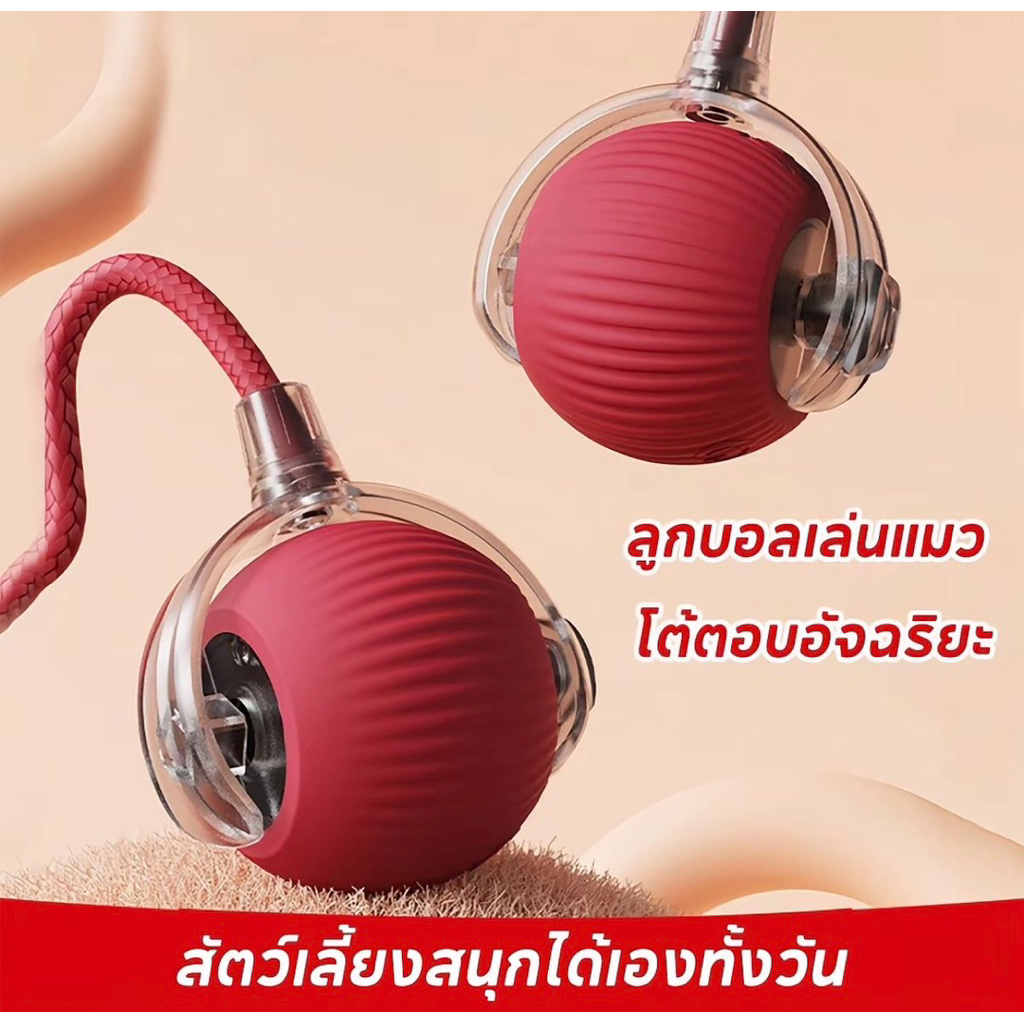 ลูกบอลปฏิสัมพันธ์สำหรับแมว NOBPETS แบบเคลือนทีอัตโนมัติ ของเล่นฝึกอบรมไฟฟ้าพร้อมฟีเจอร์การเลื่อนอัจฉ