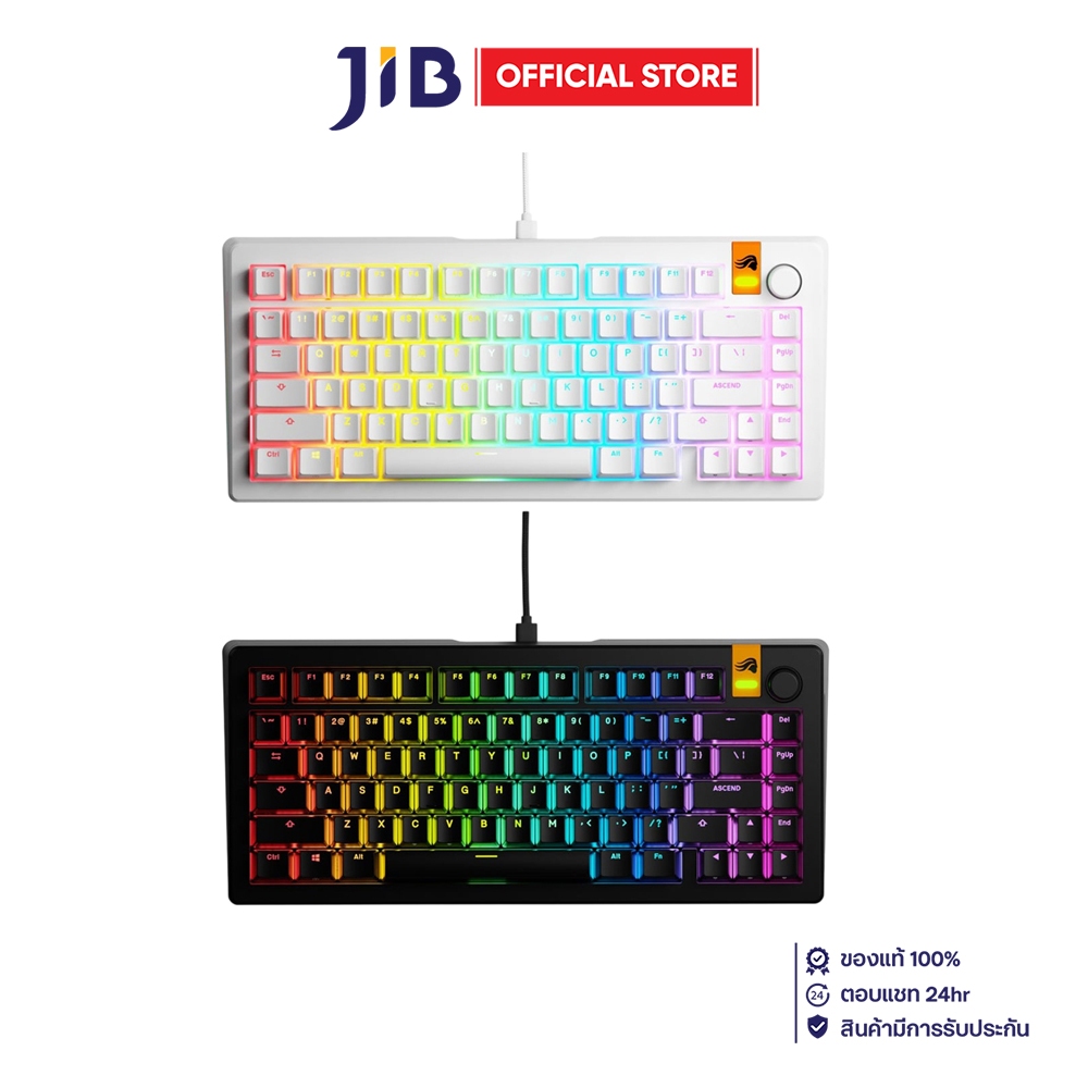 KEYBOARD (คีย์บอร์ด) GLORIOUS GMMK 3 HE PREBUILT (75%) (GLORIOUS FOX HE SWITCH RGB EN)