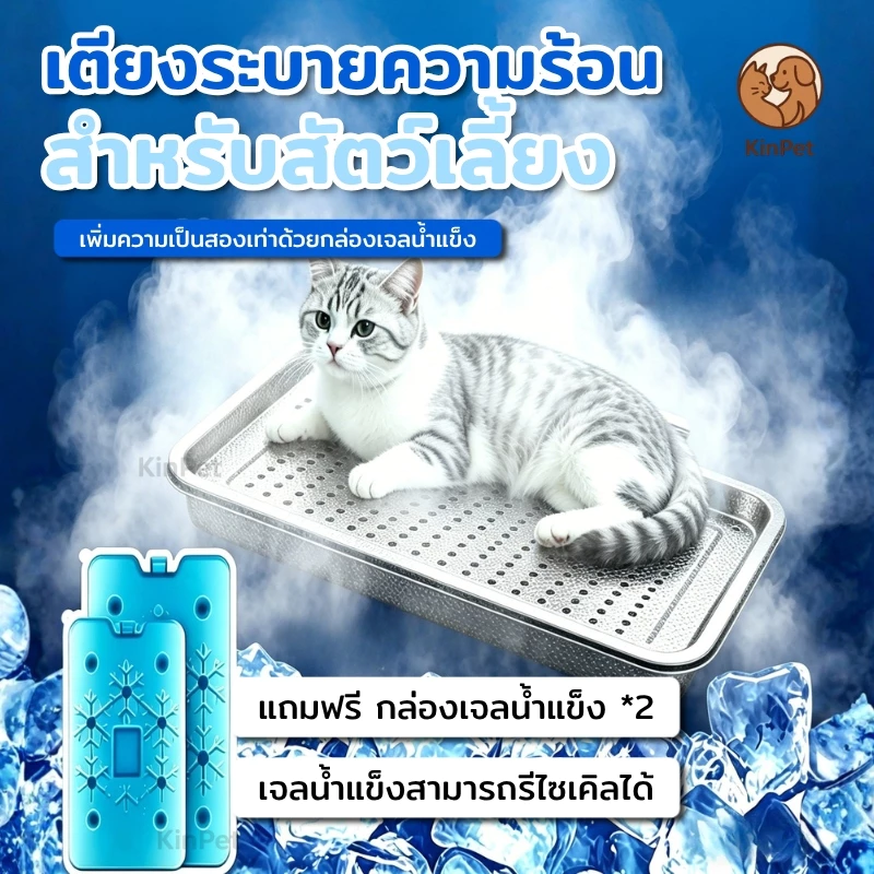 ที่นอนเย็นสำหรับแมว (แถมขวดน้ำแข็ง 2 ขวด) ที่นอนเย็นสำหรับสัตว์เลี้ยง ้ความเย็นด้วยวิธีทางกายภาพ สะอาด ผ ผลิตจากวัสดุรี