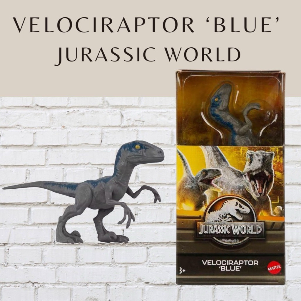 ไดโนเสาร์เวโลซิแรปเตอร์ฟ้า 6”  จูราสสิค เวิลด์  🍃 VELOCIRAPTOR BLUE 🪴 JURASSIC WORLD