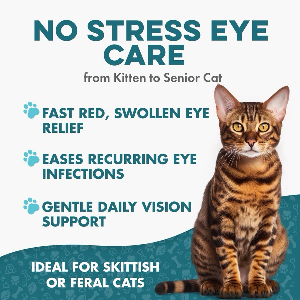 วิตามิน Eye Care & Vision Support อาหารเสริมหมา อาหารเสริมแมว บำรุงสายตา บำรุงดวงตา thumbnail 6