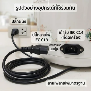 อะไหล่กระทะไฟฟ้า ขั้วปลั๊กตัวผู้ 3 ขาแบน (ทองเหลือง) ฟรีน็อต ใส่หม้อหุงข้าว เตาหมูกระทะ ปลั๊กคอม เต้ารับ AC 3 Pin