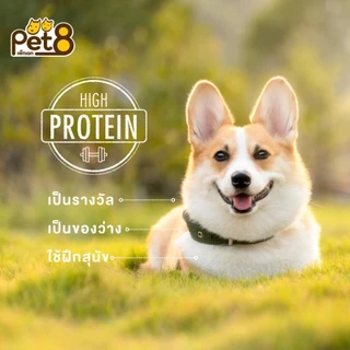 PET8 สันในไก่เจอกี้ ขนม-อาหารว่างสำหรับสุนัข และ แมว ทำจากเนื้อไก่แท้คุณภาพ 350g-400g PET8