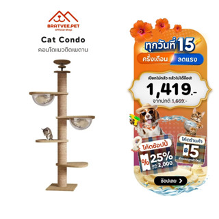 [Bratvee] คอนโดแมวติดเพดาน ไม่ต้องเจาะ ปรับสูงได้ 260–320 cm…