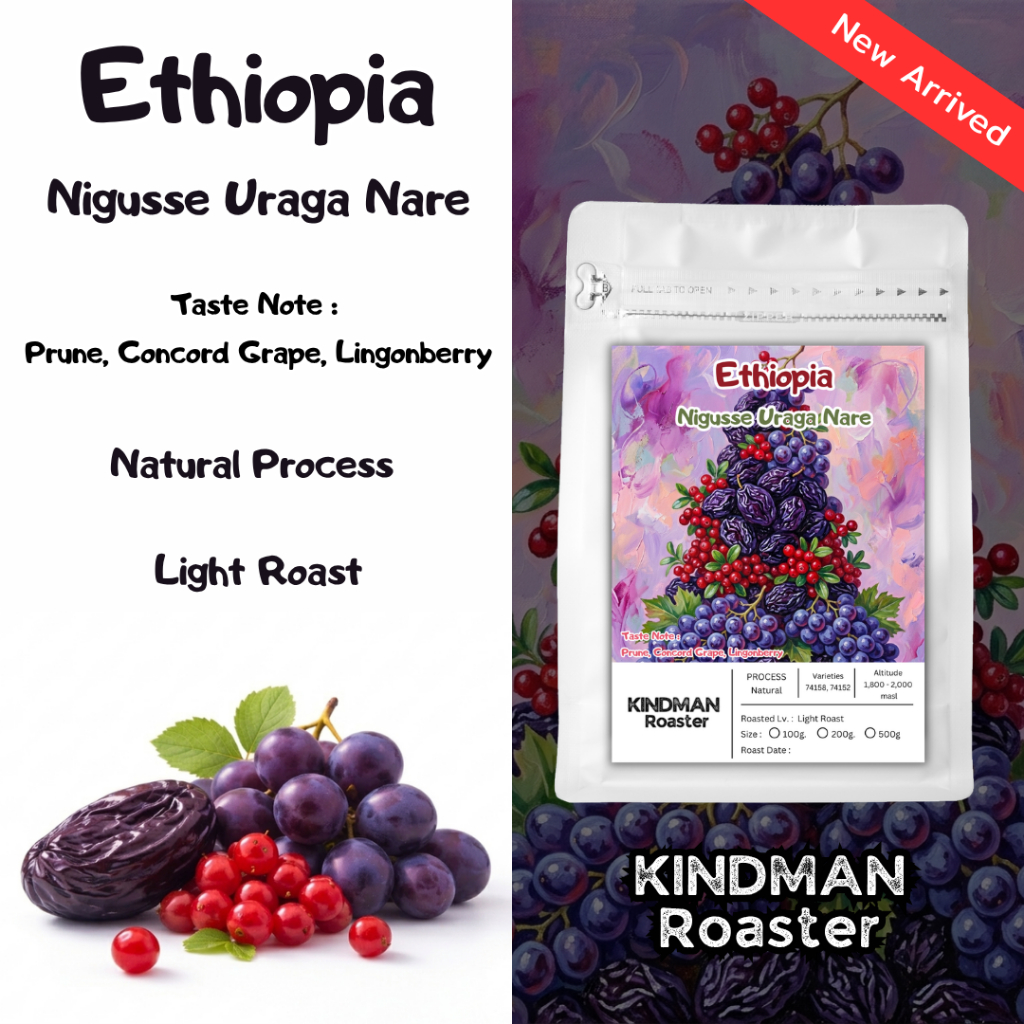 เมล็ดกาแฟ Ethiopia Nigusse Uraga Nare Natural Process by KINDMAN Roaster