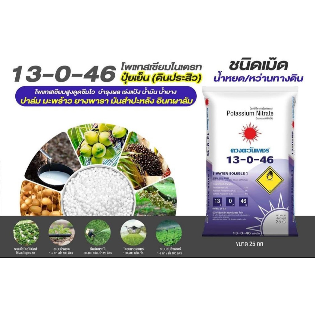 (โฉมใหม่ แบบเม็ด) ปุ๋ยเกล็ดทางใบ สูตร 13-0-46 ดวงตะวันเพชร ขนาด 1 กิโลกรัม เปิดตาดอก เพิ่มแป้งและน้ำตาล เร่งการสุก ราคา ถูกที่สุด ดีลบีเคเค แกลเลอรีภาพที่ 2