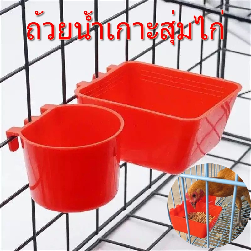 ถ้วยน้ำเกาะสุ่มไก่ ถ้วยน้ำไก่ ถ้วยน้ำนก ใหญ่/เล็ก ผลิตจากเม็ดพลาสติกเกรด A ทำให้เหนียว แข็งแรง ทนทาน