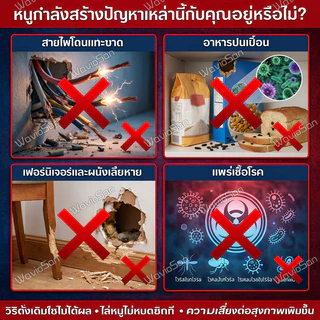 ซื้อ 1 แถม 3ยา🐁ฆ่าหนู ยาเบื่อหนู เหยื่อกำจัดหนู ไม่มีกลิ่นรบกวน ไม่ส่งผลกระทบต่อสภาพแวดล้อมในบ้านหรือพื้นที่เก็บอาหารค่ะ