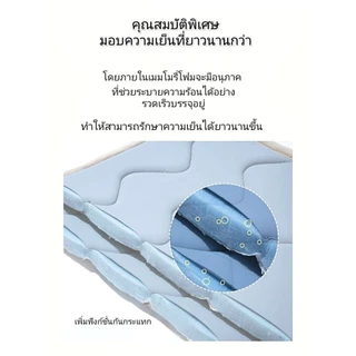 ที่นอนเย็น เมมโมรี่โฟม สำหรับสัตว์เลี้ยง สัมผัสนุ่ม หลับสบาย