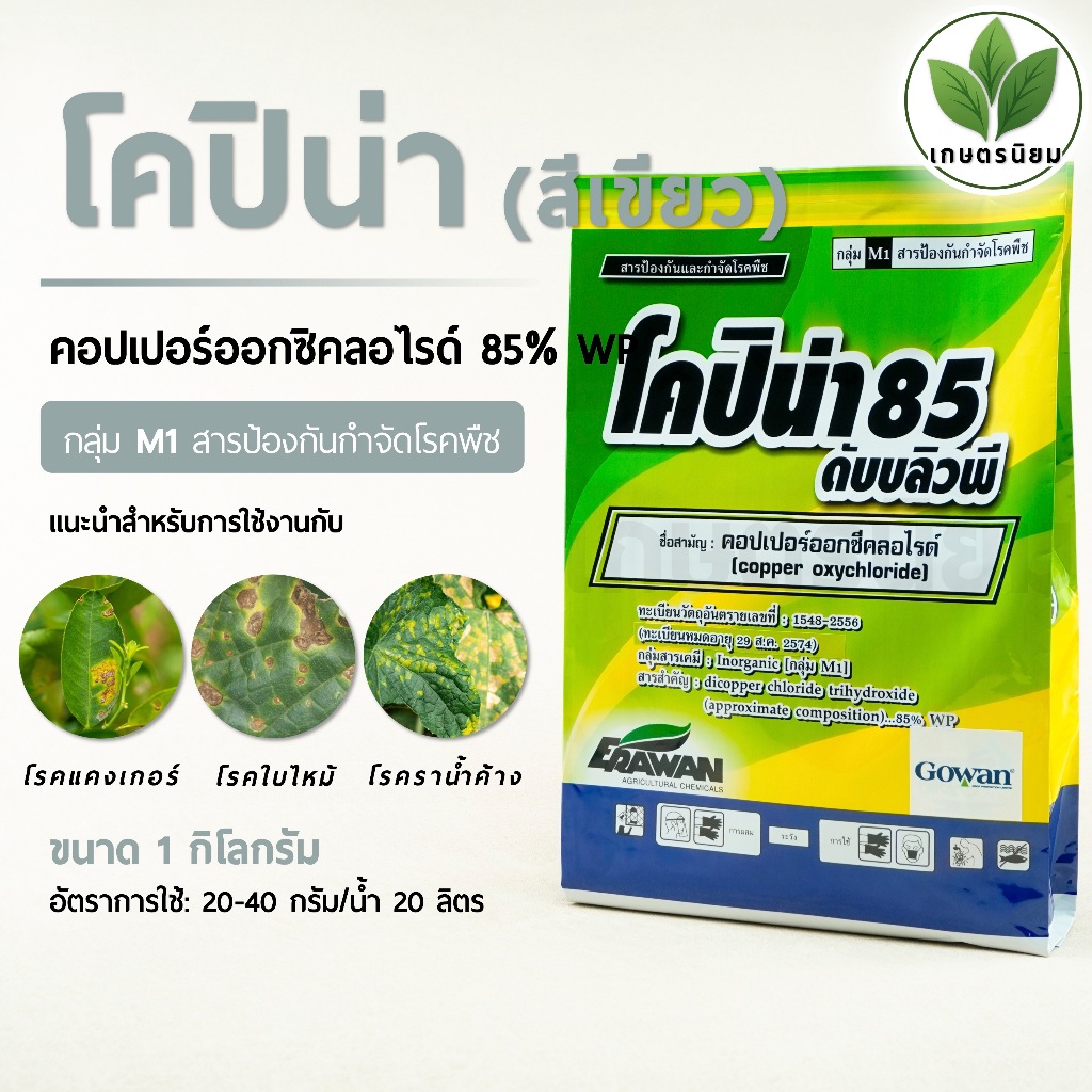 โคปิน่า สีเขียว (คอปเปอร์ออกซิคลอไรด์ 85% WP) 1 กิโลกรัม