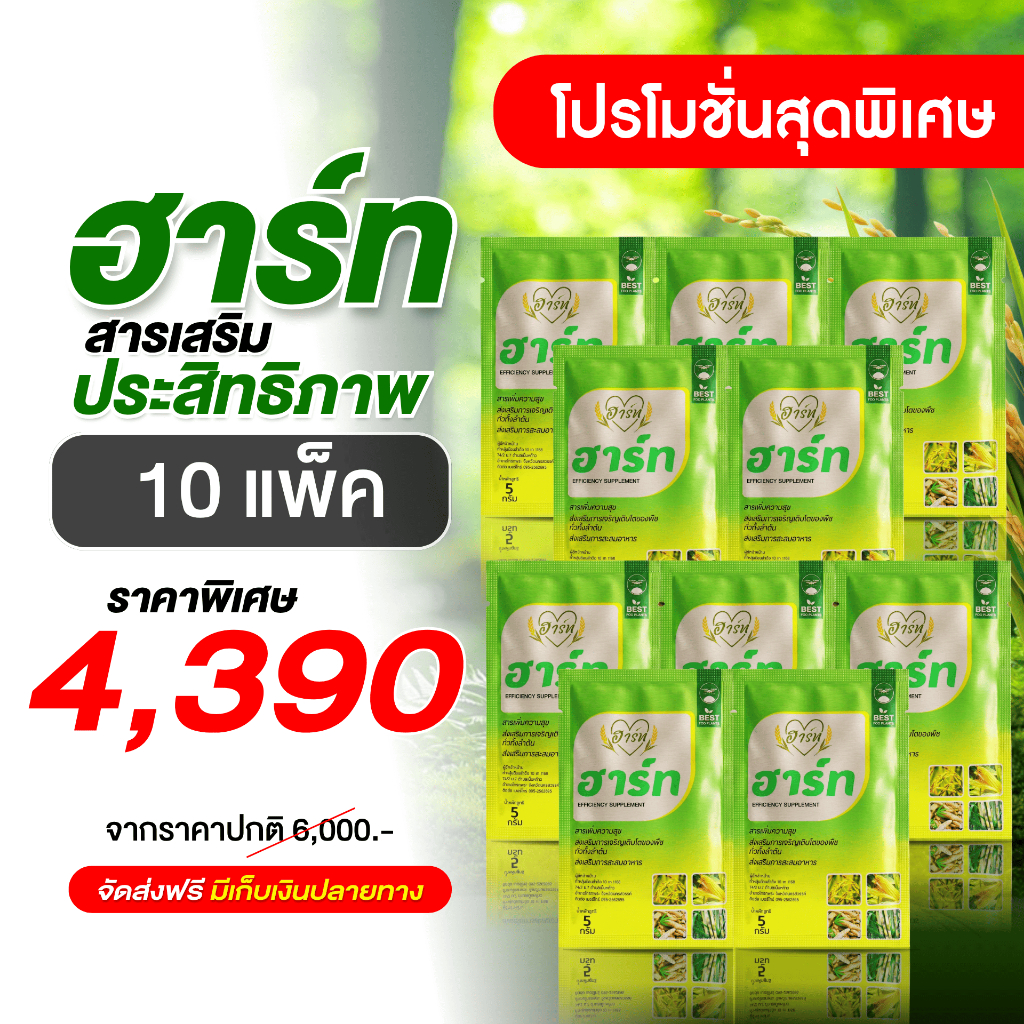 ฮาร์ท 10 ซอง l  สารเพิ่มประสิทธิภาพ สารบำรุงพืชลงหัว มันสำปะหลัง อ้อย ข้าวโพด นาข้าว สูตรเข้มข้น บำรุงต้นสมบูรณ์