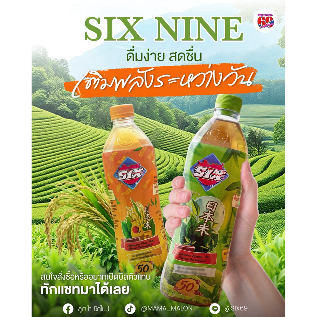 SIXชาเขียวพร้อมดื่ม 800ml