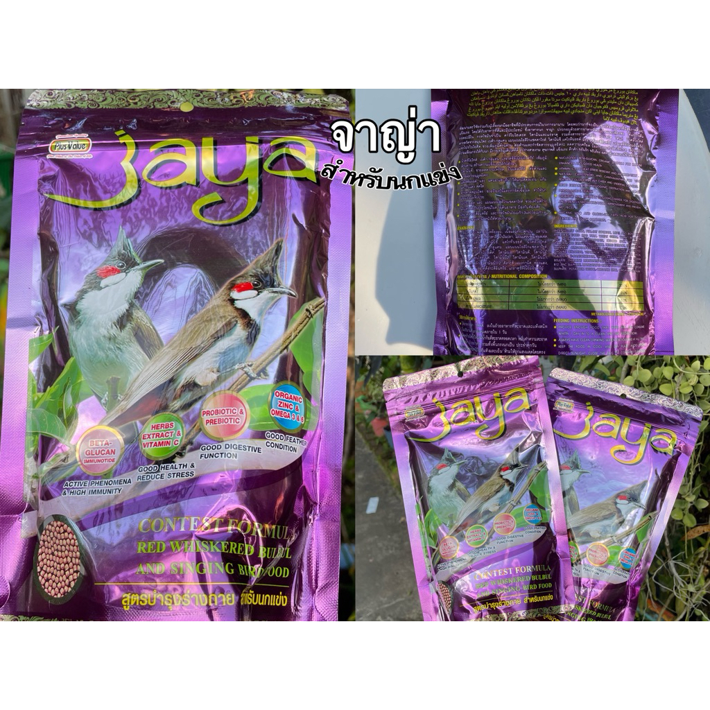 💥อาหารนกกรงหัวจุกจาย่า Jaya จาญ่า สูตรบำรุงร่างกาย 🦜