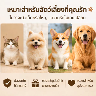 (ส่งในไทย) โกศกล่องเก็บเถ้ากระดูกที่เก็บกระดูกสัตว์เลี้ยง กล่องเก็บอัฐิ น้องหมา น้องแมว กระต่าย หนู