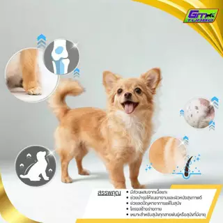 อาหารสุนัข LAMBTO (เม็ดเล็ก LTS) 20 กิโลกรัม