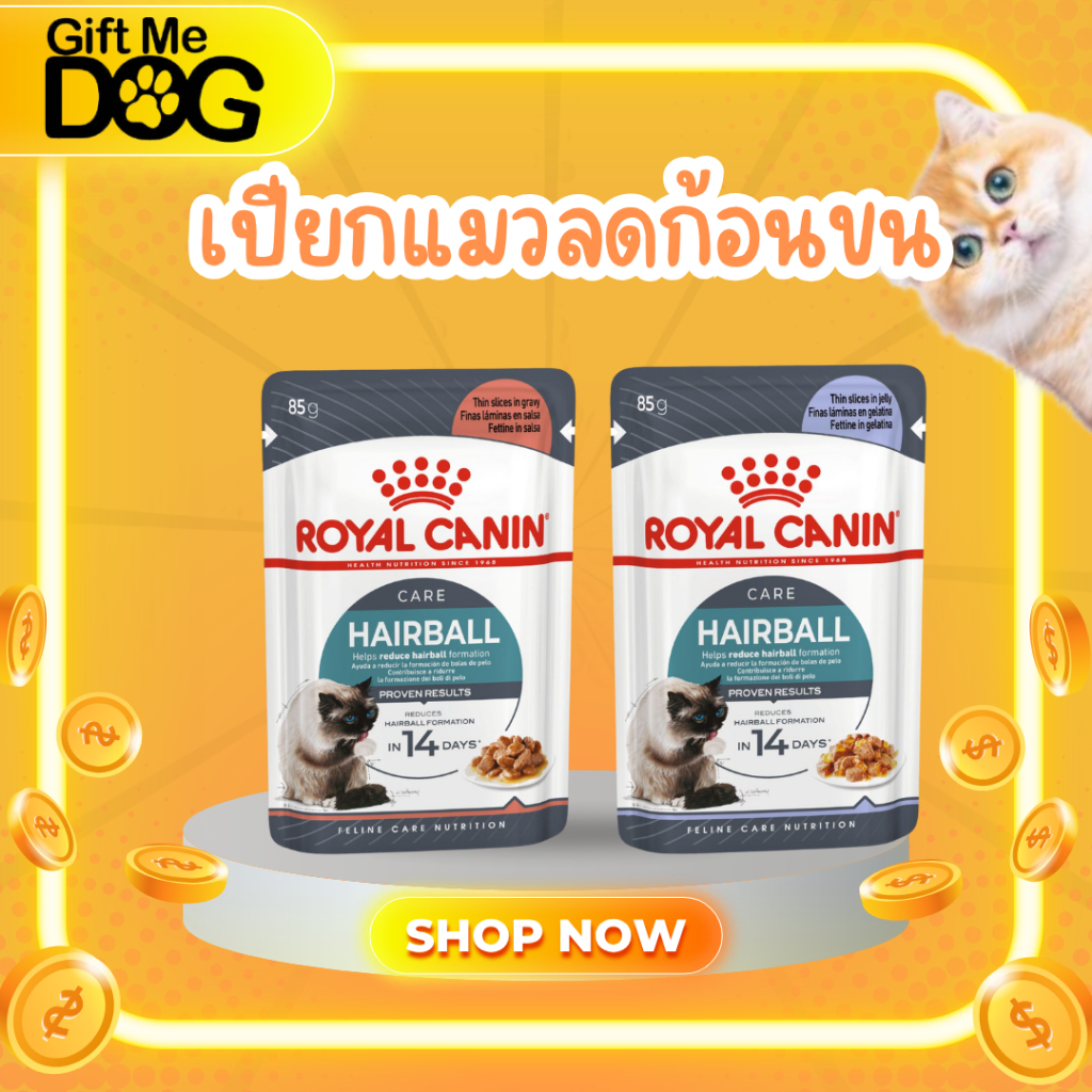 Royal canin Pouch Hairballอาหารเปียกแมวสูตรลดก้อนขนเกรวี่,เยลลี่ ยกโหล