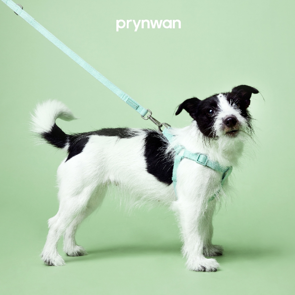 PRYNWAN Pets - Dog Leash Tone On Tone สายจูง สัตว์เลี้ยง สีมิ้นต์