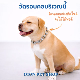 ปลอกคอโซ่ สุนัข สแตนเลส 304 โดนน้ำได้ไม่ขึ้นสนิม💦 ไม่มีขาด‼️ขนาด 5-10 มิล สำหรับสุนัขขนาดกลาง-สุนัขโต ปลอกคอโซ่ โซ่คอ