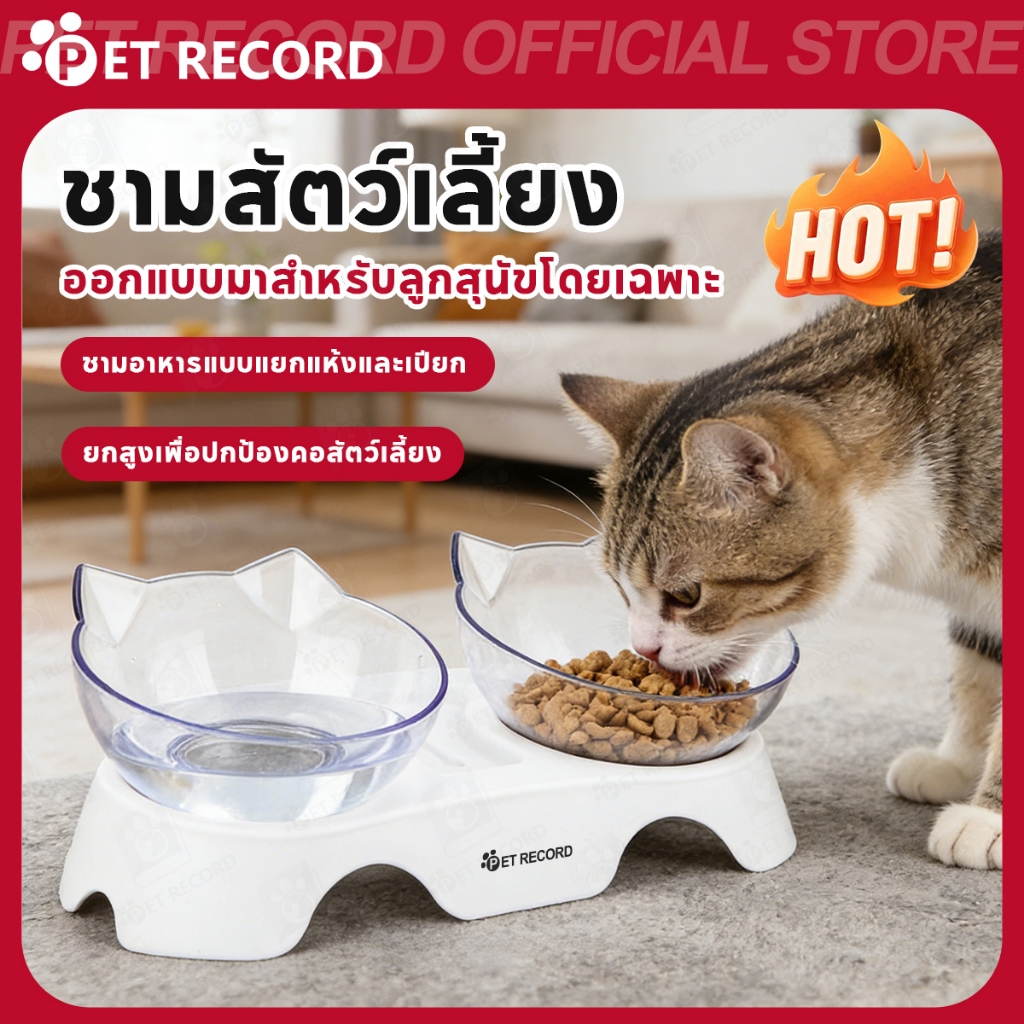 【PET RECORD】🔥ชามอาหารแมวเอียง 15° ชามแมวพร้อมฐาน ชามใสอาหารสุนัข ถอดล้างง่าย สำหรับแมวหน้าสั้น
