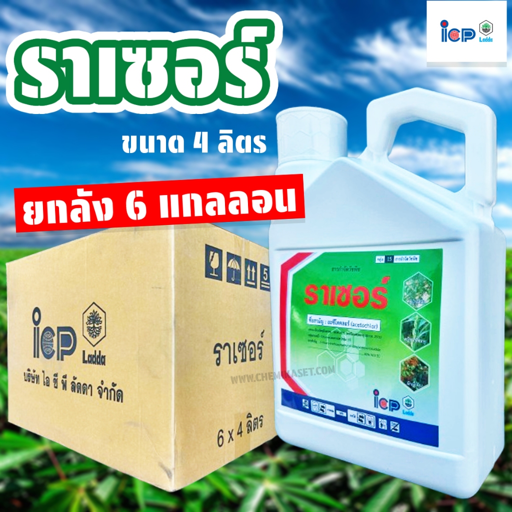 (ยกลัง6แกลลอน) ราเซอร์ ขนาด 4 ลิตร กำจัดวัชพืชในอ้อย ข้าวโพด มันสำปะหลัง