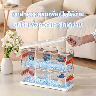 ตู้ปลากัดหลายช่อง LED โปร่งใส วัสดุแข็งแรงไม่แตก วางบนโต๊ะทำงานหรือห้องนั่งเล่น อควาเรียมขนาดเล็ก