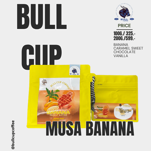 เมล็ดกาแฟคั่วกลาง MUSA BANANA หมักกลิ่น BANANA