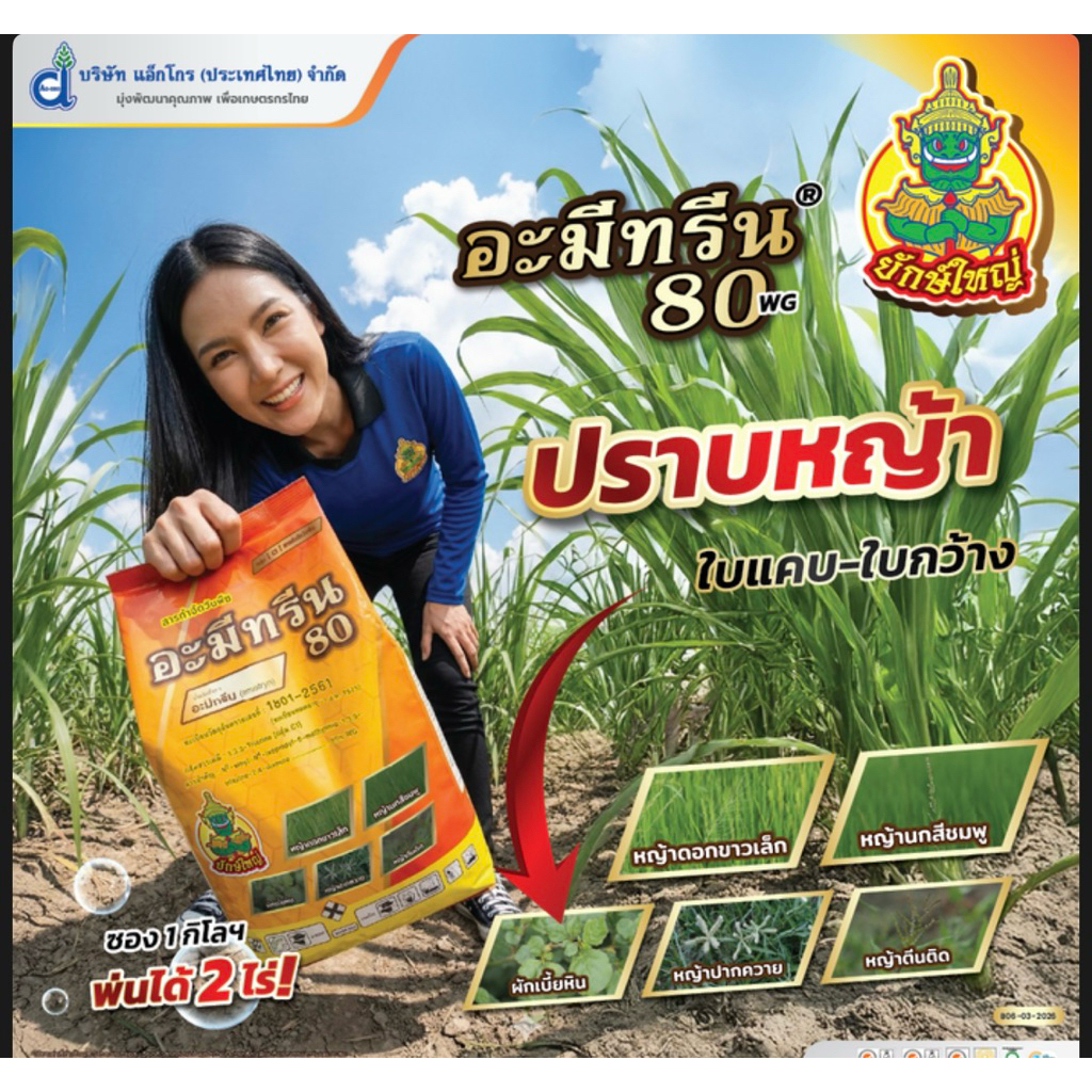 อะมีทรีน 80WG ตรายักษ์ใหญ่ ชนิดเม็ด ขนาด1กิโลกรัม