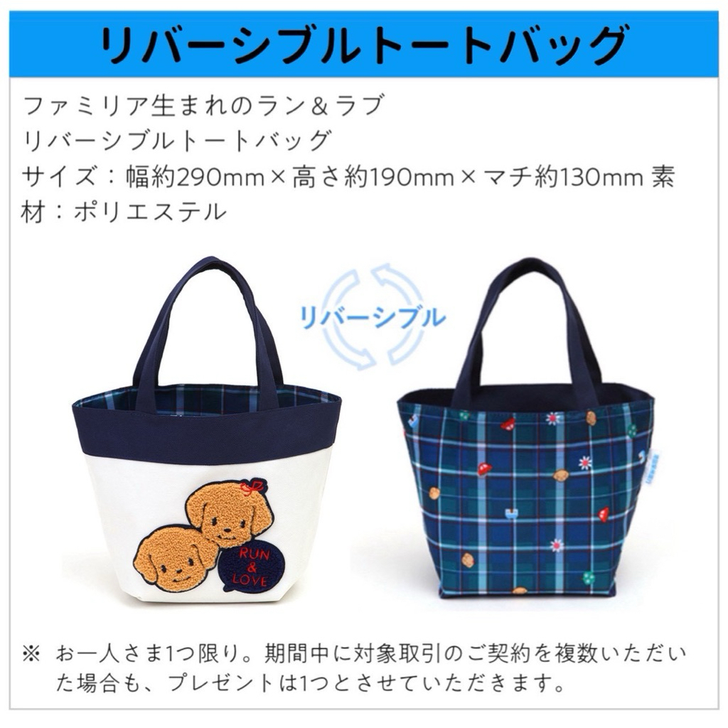 Familiar Reversible tote bag