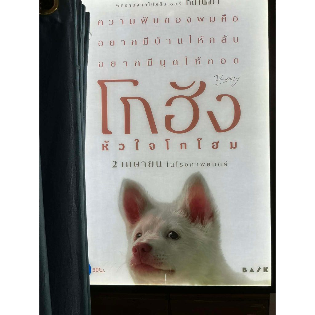 (หายาก พร้อมลายเซ็นผู้กำกับ) Poster โปสเตอร์ โกฮัง หัวใจโกโฮม แท้ Poster Gohan 2026 โกฮังหัวใจโกโฮม 