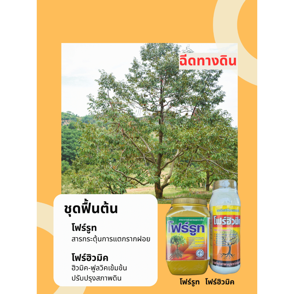ชุดฟื้นต้น ล้างสาร ฉีดทางดิน โฟร์ฮิวมิค+โฟร์รูท รากดี ดินดี โฟร์เอ็น