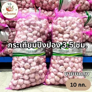 กระเทียมปิงปอง 3.5 ซม. คุณภาพดี กลีบแน่น ขายยกกระสอบ 9.5 - 10 กก.