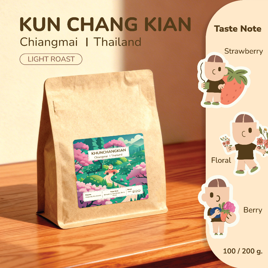 เมล็ดกาแฟคั่วอ่อน | ขุนช้างเคี่ยน เชียงใหม่ Natural process | 100% Arabica | Kyodo coffee roasters