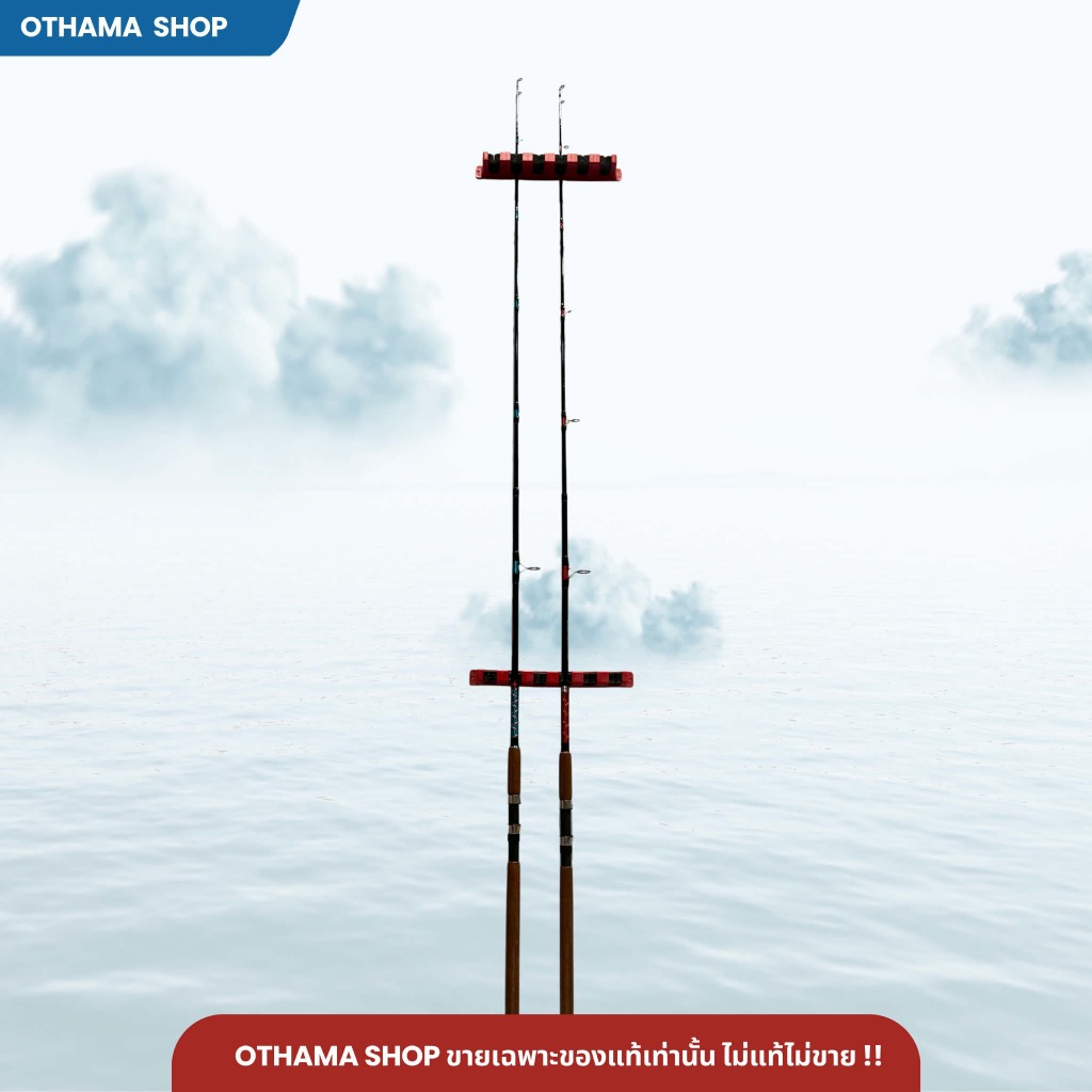 คันเบ็ดตกปลา คันหน้าดิน Ashino Power Land Line wt. 15-30 รูปที่ 3