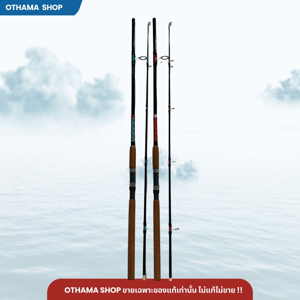 คันเบ็ดตกปลา คันหน้าดิน Ashino Power Land Line wt. 15-30 รูปที่ 2