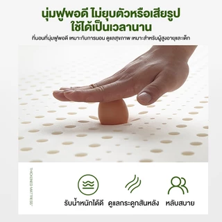 ที่นอนยางพารา ยางพาราฉีดขึ้นรูป topper ลดอาการปวดหลังได้อย่างตรงจุด นุ่มกำลังดี นอนฟิน เหมือนนอนโรงแรม ส่งฟรี