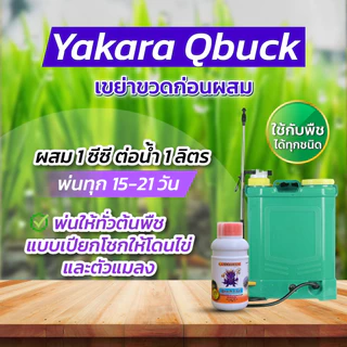 ชุด 3 พลัง รวมชุดใหญ่ขายดี ผงดำเทพสถิตย์ 5 กรัม + ยาคาร่าวัคซีนพืช 3 in 1 500 มล. + คิวบั๊ก 500 มล.