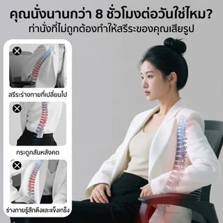 Millera เบาะรองนั่งเพื่อสุขภาพ พร้อมส่ง เบาะพิงหลัง ปรับสรีระ ลดปวดหลัง แก้ออฟฟิศซินโดรม ใช้กับเก้าอี้และในรถ
