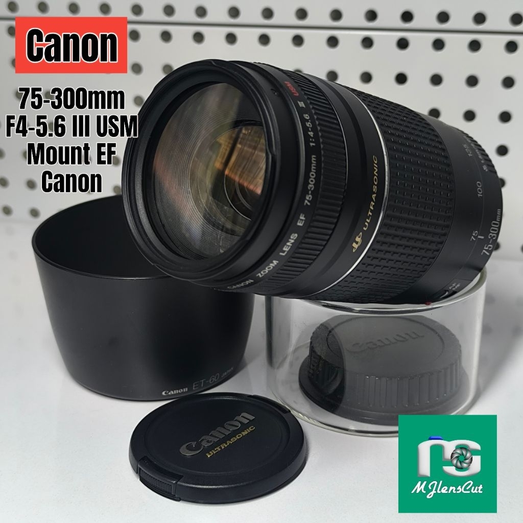 Canon EF 75-300mm f4.5-5.6 III USM + Hood Mount EF Canon