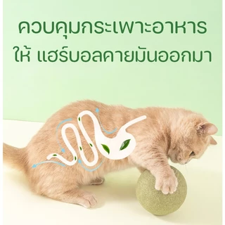 【FurBaby】 พร้อมส่ง COD ของเล่นแมวเลีย แคทนิปบอล ซุปเปอร์ใหญ่ 10cm กัญชาแมว ผ่อนคลาย อารมณ์ดี ก้อนใหญ่สะใจ ดี