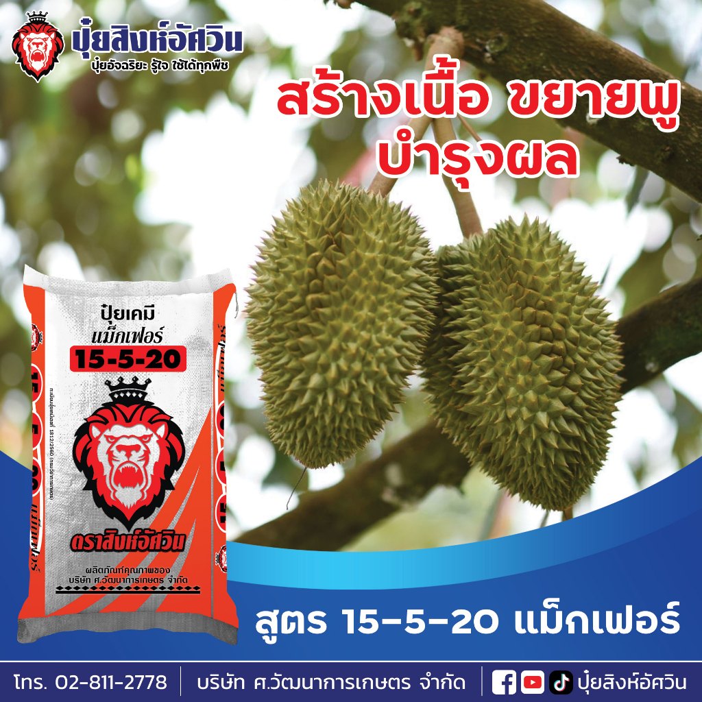 ปุ๋ยสิงห์อัศวิน สูตร 15-5-20 แบ่งขาย สูตรเพิ่มผลผลิต สร้างเนื้อ ขยายผล เพิ่มน้ำหนัก เร่งสี เร่งหวาน