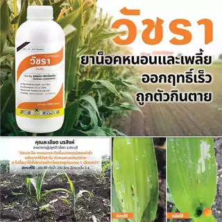 วัชรา - แลมบ์ดา-ไซฮาโลทริน 2.5% W/V EC ขนาดบรรจุ 1 ลิตร สูตรเย็นฉีดผ่าดอกได้ ✅ สินค้าผลิตใหม่ ของแท้แน่นอน 💯