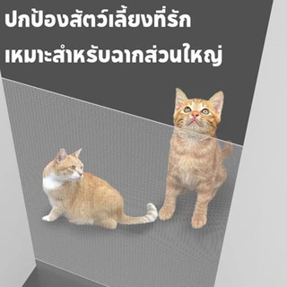 【ThaiCloud】ที่กั้นสัตว์เลี้ยง กั้นห้องแมว รั้วยืดหดได้ แข็งแรง ติดตั้งง่าย ไม่ต้องเจาะผนัง