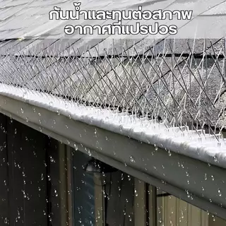 หนามไล่นก หนามกันนก​ สแตนเลส304 ยาว50ซม 10ชิ้น(60 หนาม) กันนกพิราบ แมว กันนกเกาะ หนามไล่นก anti bird repeller