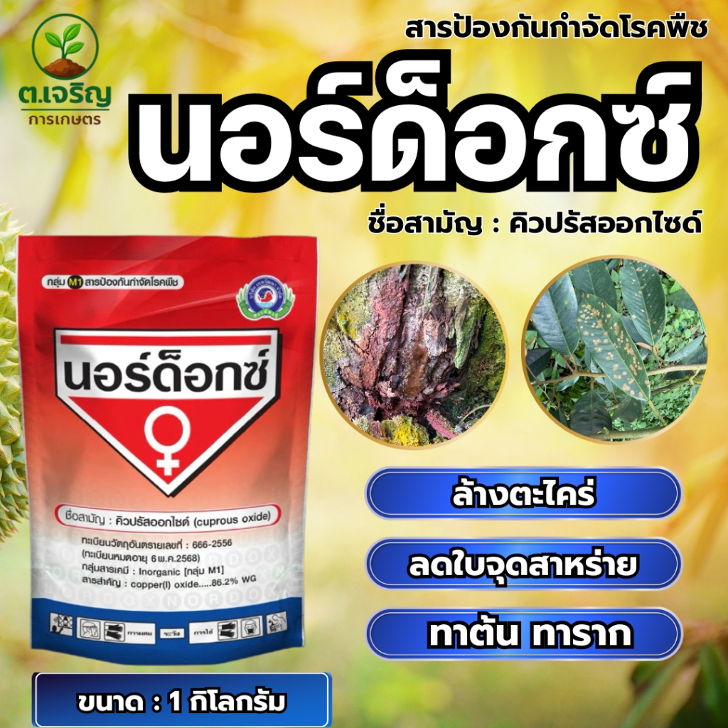 นอร์ด็อกซ์ ขนาด 1 กิโลกรัม ยาล้างต้น ตราเทพวัฒนา กำจัดตะไคร่น้ำ ลดใบจุดสาหร่าย ยาเชื้อรา คิวปรัสออกไซด์ ทาต้น ทารากได้