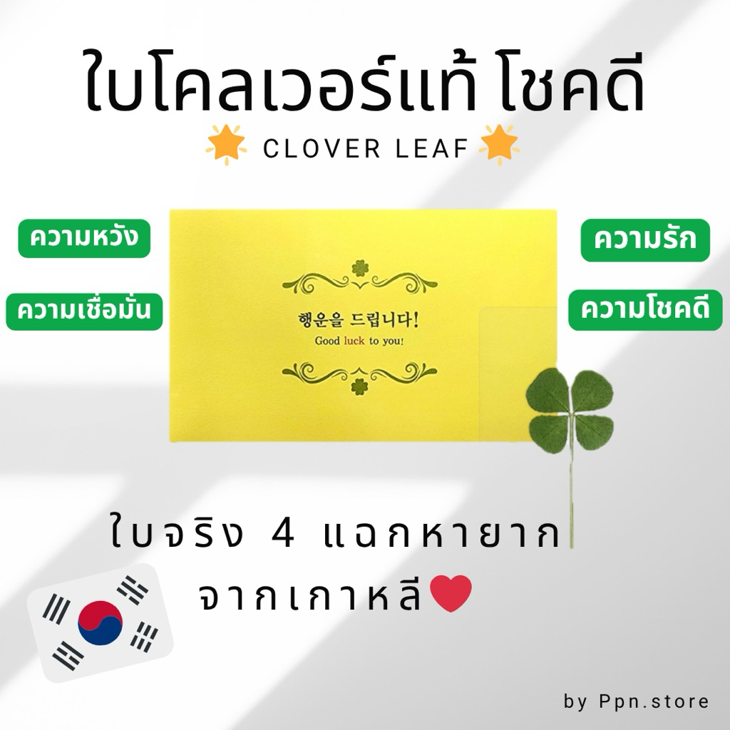 ใบโคลเวอร์ 4 แฉกเสริมดวง แท้จากเกาหลี🇰🇷🍀