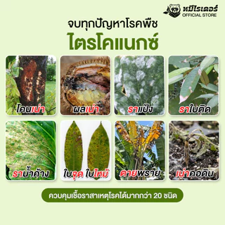 ไตรโคแนกซ์ 500 กรัม สูตรเข้มข้น | จุลินทรีย์ชีวภัณฑ์ ต้านทานโรคพืช เสริมภูมิต้านทานพืช