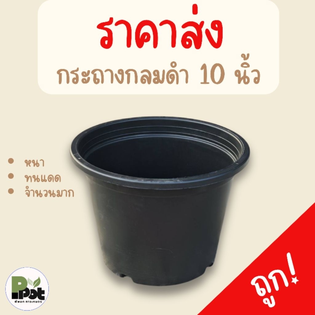 กระถางกลมดำ พลาสติกหนาเกรด A ไซส์ 10 นิ้ว ส่งด่วน จำนวนหลายใบ ราคาส่งตรงจากโรงงาน!