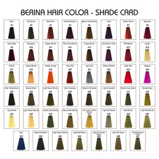 (ยกโหล/12กล่อง) Berina Hair Color Cream สีย้อมผม เบอริน่า มี 47 สีให้เลือก (1โหล/12กล่อง)