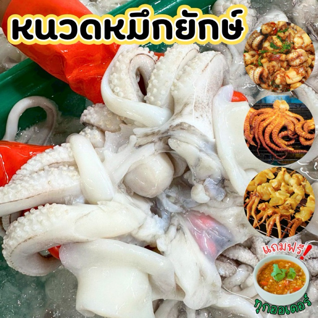 หนวดปลาหมึกกระดองยักษ์🐙 กรอบเด้ง ไม่เหนียว สด สะอาด ปลอดภัย พร้อมเสิร์ฟทั่วไทย🛺